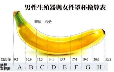 下面太小|丁丁多长才是正常的？